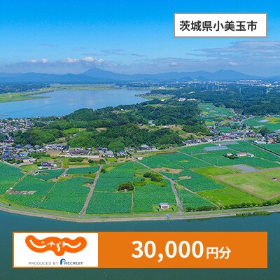 【じゃらんふるさと納税クーポン】 茨城県小美玉市でつかえる30,000円 クーポン