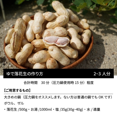 生落花生 さとのか2kg 高鮮度保持フィルム使用　耕地の美味しい野菜シリーズ第5弾　H132-029