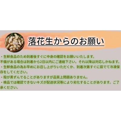 生落花生 さとのか2kg 高鮮度保持フィルム使用　耕地の美味しい野菜シリーズ第5弾　H132-029