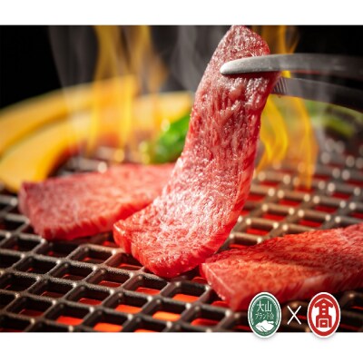 <はなふさ>鳥取和牛モモ焼肉用(大山ブランド会)米子高島屋 34-AC2 