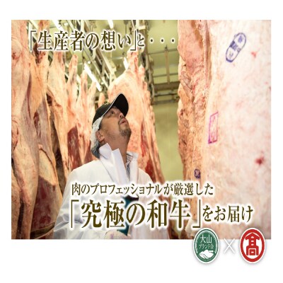 <はなふさ>鳥取和牛モモ焼肉用(大山ブランド会)米子高島屋 34-AC2 