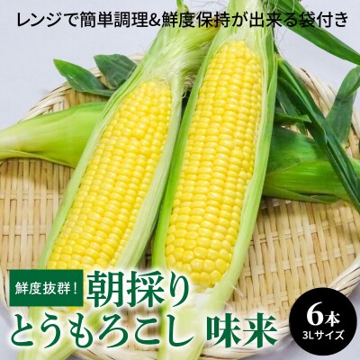 朝採り とうもろこし 味来 6本(3Lサイズ) 簡単調理&鮮度保持が出来る袋付　H132-030