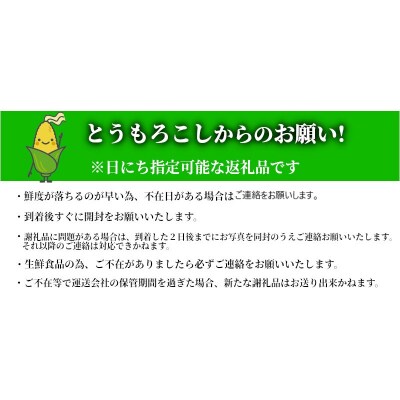朝採り とうもろこし 味来 6本(3Lサイズ) 簡単調理&鮮度保持が出来る袋付　H132-030