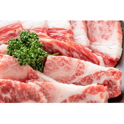 訳あり!艶さし!【A4～A5】佐賀牛焼肉切り落とし(肩ロース・バラ)1kg(鳥栖市)