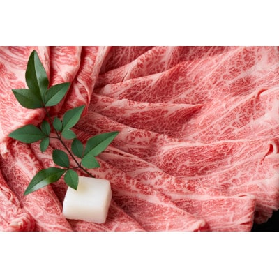 艶さし!【A4～A5】佐賀牛サーロインしゃぶしゃぶすき焼き用600g(300g×2p)(鳥栖市)
