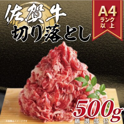 【毎月定期便】艶さし!【A4～A5】佐賀牛切り落とし 500g(鳥栖市)全12回