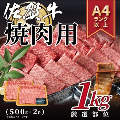 【毎月定期便】艶さし!【A4～A5】佐賀牛焼肉用 1kg(500g×2p)(鳥栖市)全6回