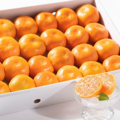 柑橘の名産地!佐賀産【夏】のハウスみかんギフト箱(約20-30玉)(鳥栖市)