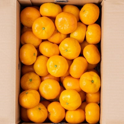 柑橘の名産地!佐賀産【夏】のハウスみかん約5kg(鳥栖市)
