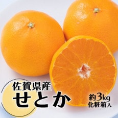 みかんの「大トロ」佐賀産かんきつ・せとか 約3kg(7-12玉)(鳥栖市)