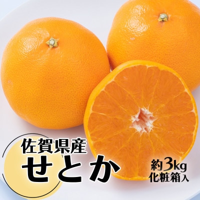 【2026年発送先行受付】みかんの「大トロ」佐賀産かんきつ・せとか 約3kg(7-12玉)(鳥栖市)