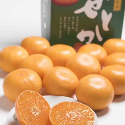 【2026年発送先行受付】みかんの「大トロ」佐賀産かんきつ・せとか 約3kg(7-12玉)(鳥栖市)