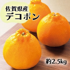 佐賀産 デコポン8-12玉(約2.5kg箱)(鳥栖市)