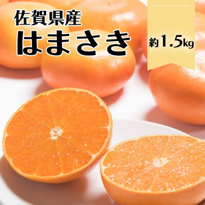 佐賀産柑橘「はまさき」約1.5kg箱(5-8玉)(鳥栖市)