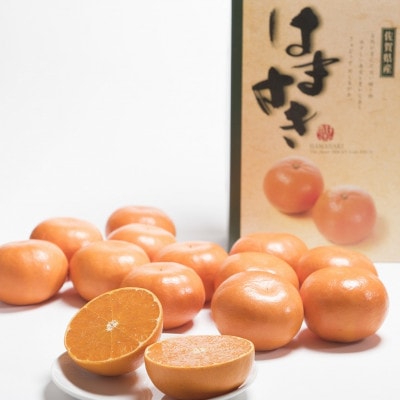 佐賀産柑橘「はまさき」約1.5kg箱(5-8玉)(鳥栖市)