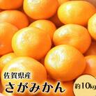【10月中旬より順次発送】柑橘の名産地 佐賀産さがみかん約10kg箱(鳥栖市)