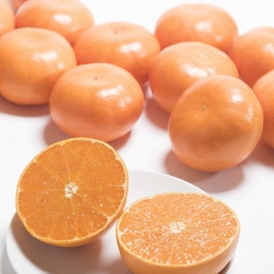 【2027年発送先行受付】佐賀産かんきつ・せとか 約1.5kg (4‐7玉)(鳥栖市)