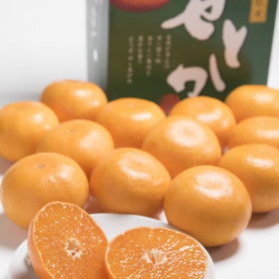 【2027年発送先行受付】佐賀産かんきつ・せとか 約1.5kg (4‐7玉)(鳥栖市)