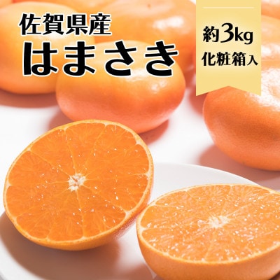 【2027年発送先行受付】佐賀産柑橘「はまさき」約3kg箱 (7‐12玉) (鳥栖市)