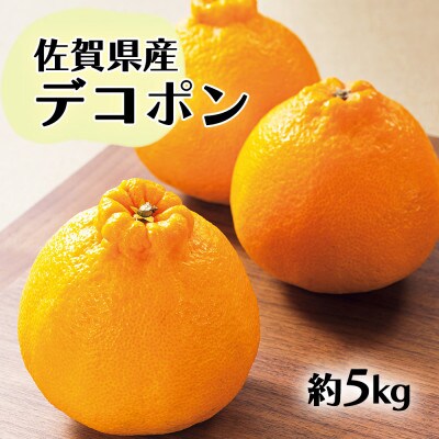 【2027年発送先行受付】佐賀産デコポン 約5kg箱 (15‐20玉) (鳥栖市)