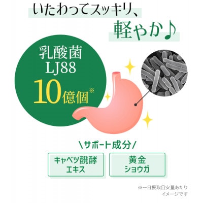 DHC 胃の中の乳酸菌 LJ(エルジェイ)88 30日分 2個セット(60日分)(鳥栖市)