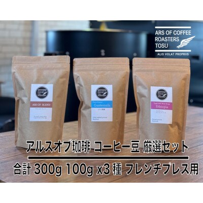 厳選 珈琲豆 100g×3種セット　スペシャルティコーヒー (フレンチプレス用)