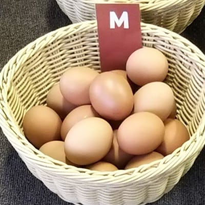 赤たまご50個
