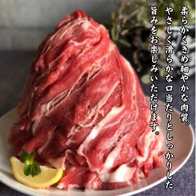半端ない!【佐賀産和牛】バラ切り落とし 2kg(鳥栖市)