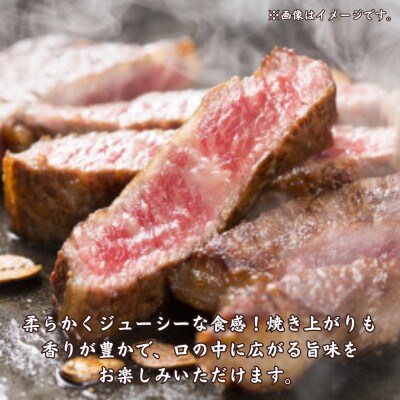 【佐賀産和牛】サーロインステーキ 270g×2枚(鳥栖市)