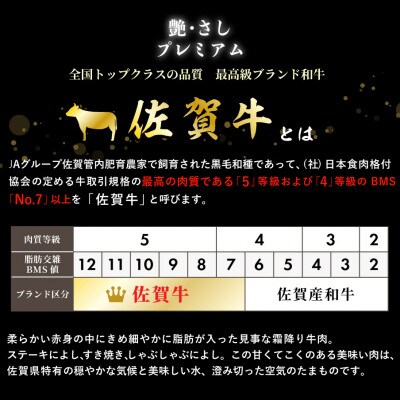 佐賀牛 厚切サーロインステーキ600g(4枚合計)(鳥栖市)