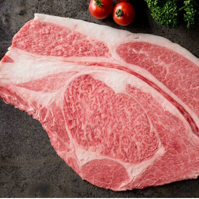 【発送月固定定期便】佐賀牛「わくわくコース」(鳥栖市)全12回