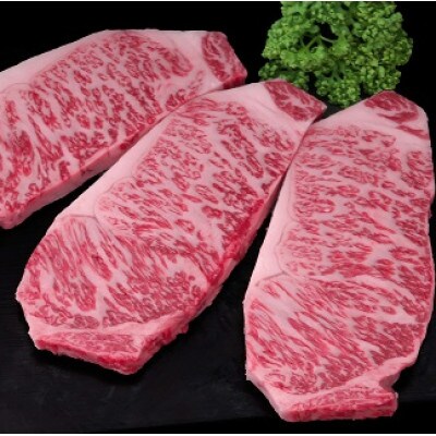 佐賀牛サーロインステーキ(600g)(鳥栖市)