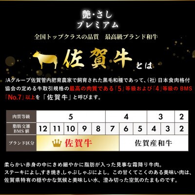 佐賀牛サーロインステーキ(600g)(鳥栖市)