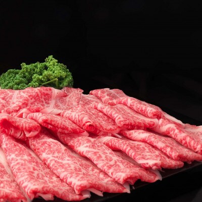 【毎月定期便】佐賀牛 肩ローススライス1kg(500g×2パック)(鳥栖市)全10回