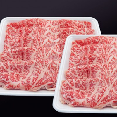 【毎月定期便】佐賀牛 肩ローススライス1kg(500g×2パック)(鳥栖市)全10回