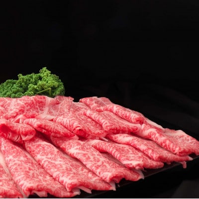 【毎月定期便】佐賀牛 肩ローススライス1kg(500g×2パック)(鳥栖市)全5回