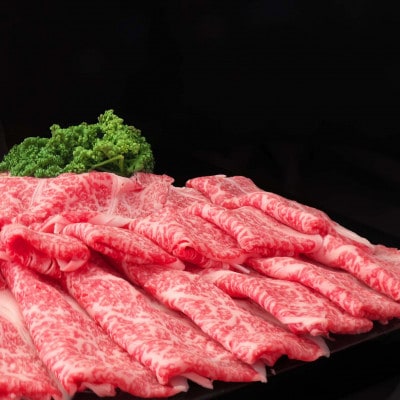 【毎月定期便】佐賀牛 肩ローススライス約1kg(約500g×2パック)(鳥栖市)全5回