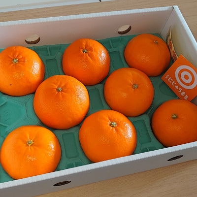 【贈答用】佐賀県産にじゅうまる約3kg