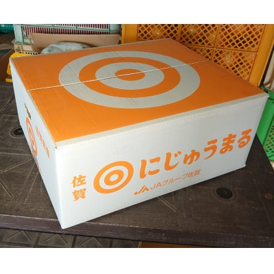 佐賀県産にじゅうまる約5kg