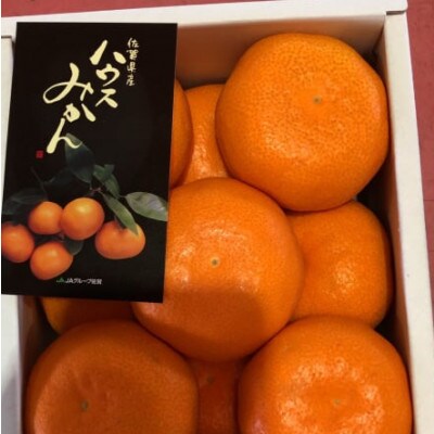 佐賀県産 今が旬の柑橘系(ハウスみかん 約1kg)(鳥栖市)