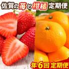 【発送月固定定期便】佐賀の「苺と柑橘」定期便全6回