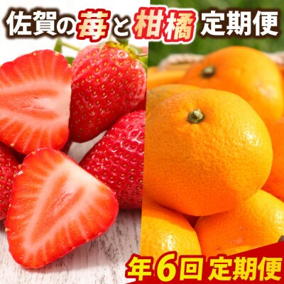 【発送月固定定期便】佐賀の「苺と柑橘」定期便全6回