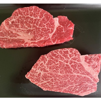 【毎月定期便】佐賀牛ヒレステーキ280g(2枚合計)(鳥栖市)全6回