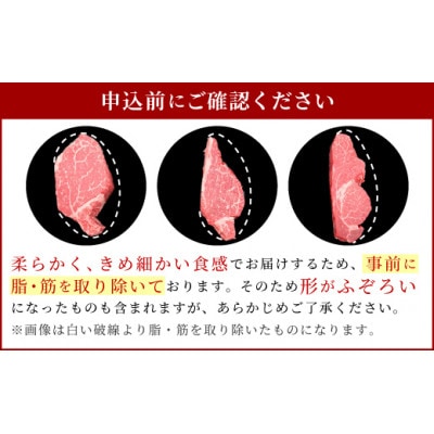 【毎月定期便】佐賀牛ヒレステーキ280g(2枚合計)(鳥栖市)全6回
