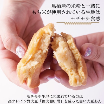 とすどら(大豆あん)(12個入り)(鳥栖市)