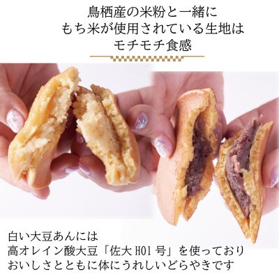 楽天市場】老舗和菓子屋のお試しセット6種11個入 きんつば 胡麻
