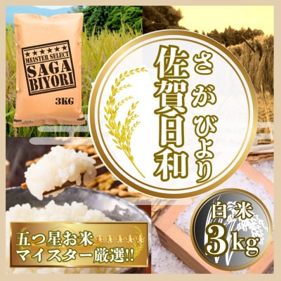 さがびより白米3kg【特A評価】五つ星お米マイスター厳選(鳥栖市)