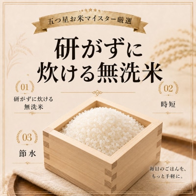 【無洗米】さがびより3kg【特A評価】五つ星お米マイスター厳選(鳥栖市)