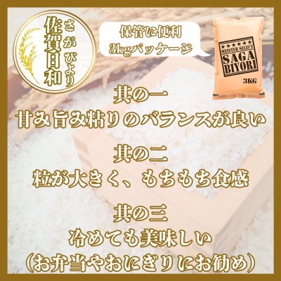 【無洗米】さがびより6kg(3kg×2袋)【特A評価】五つ星お米マイスター厳選(鳥栖市)