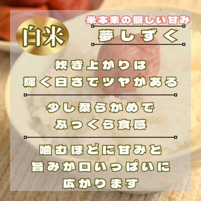 令和7年産　夢しずく白米6kg(3kg×2袋)【特A評価】五つ星お米マイスター厳選(鳥栖市)